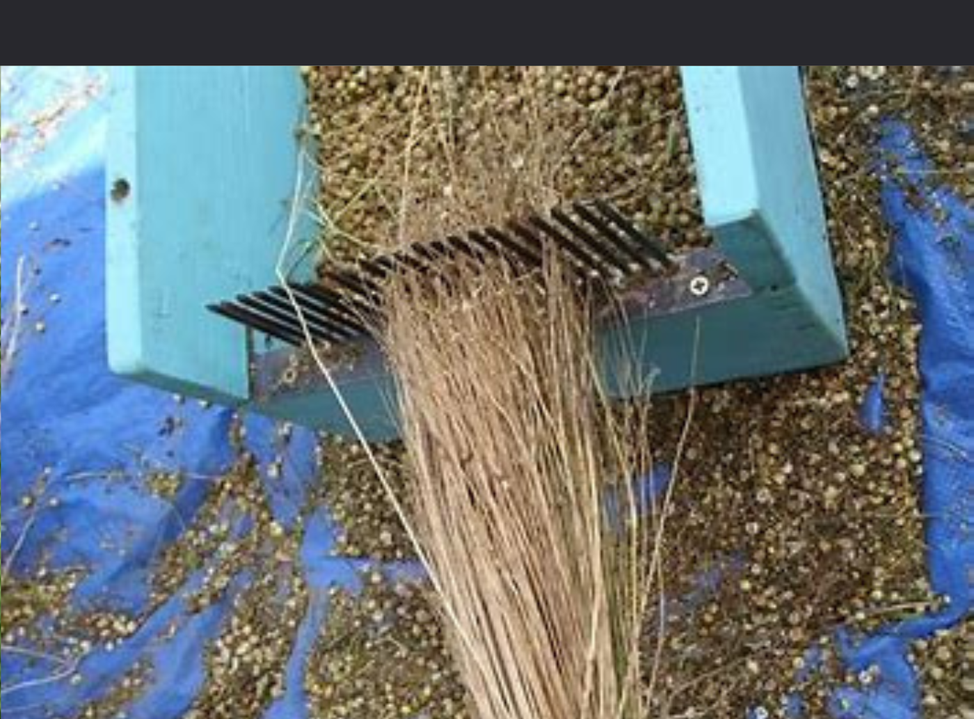 Rippling of Linen Fiber