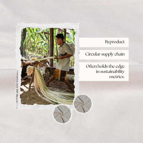 Visual representation of banana plant pseudostem alongside fabric, illustrating waste-to-textile circular production compared to cotton.