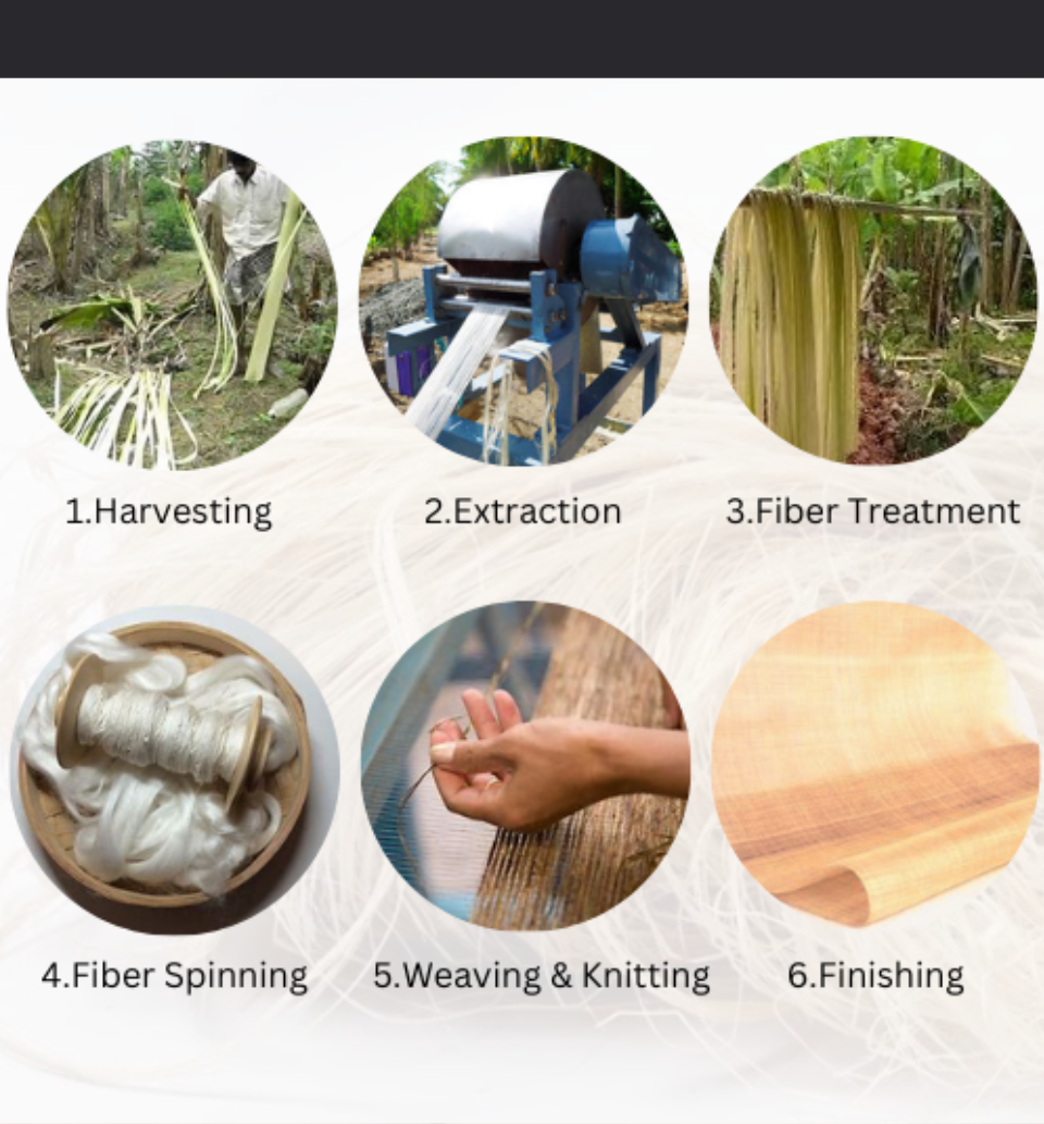 Manufacturing of banana fiber