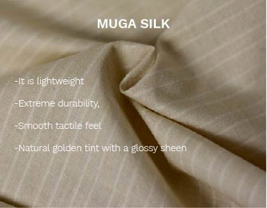 Muga Silk Characteristics