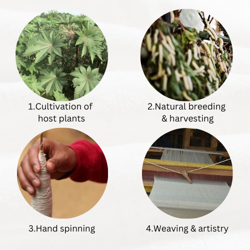 Production Process of Eri Silk
