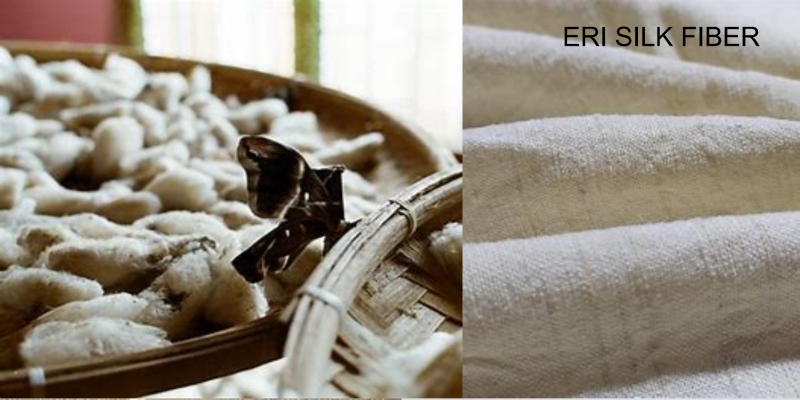 Eri Silk Fiber