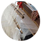 Organic Khadi Cotton Cluster