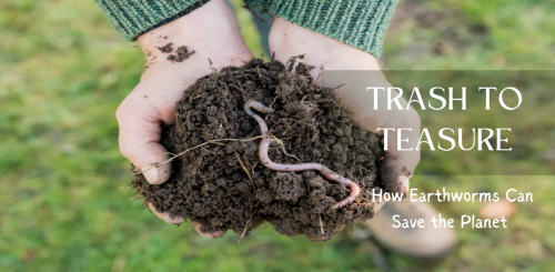 Trash To Treasure: Vermicomposting