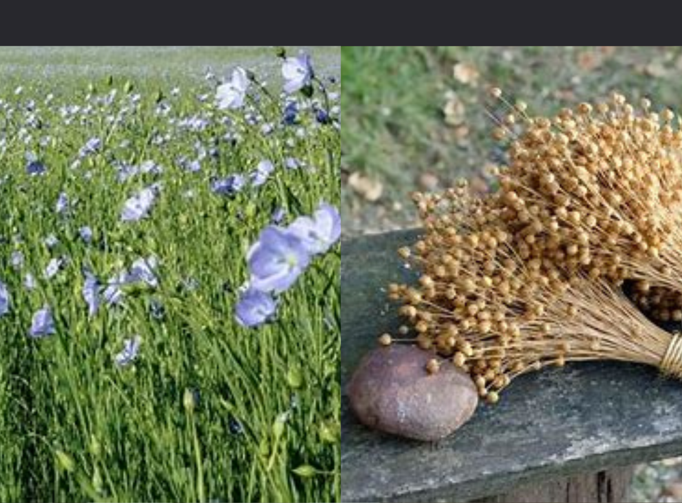 Cultivating Linen Fabric
