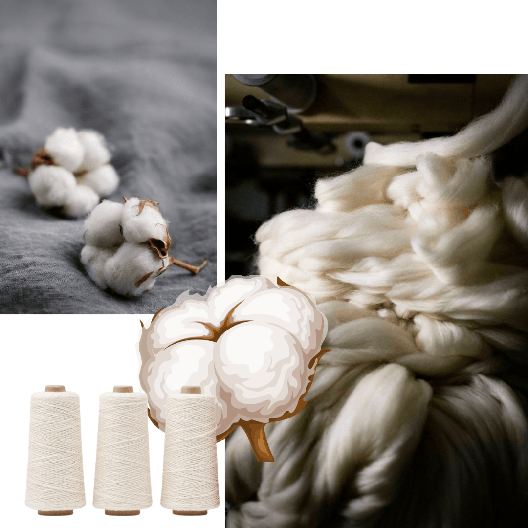 Anuprerna cotton collection