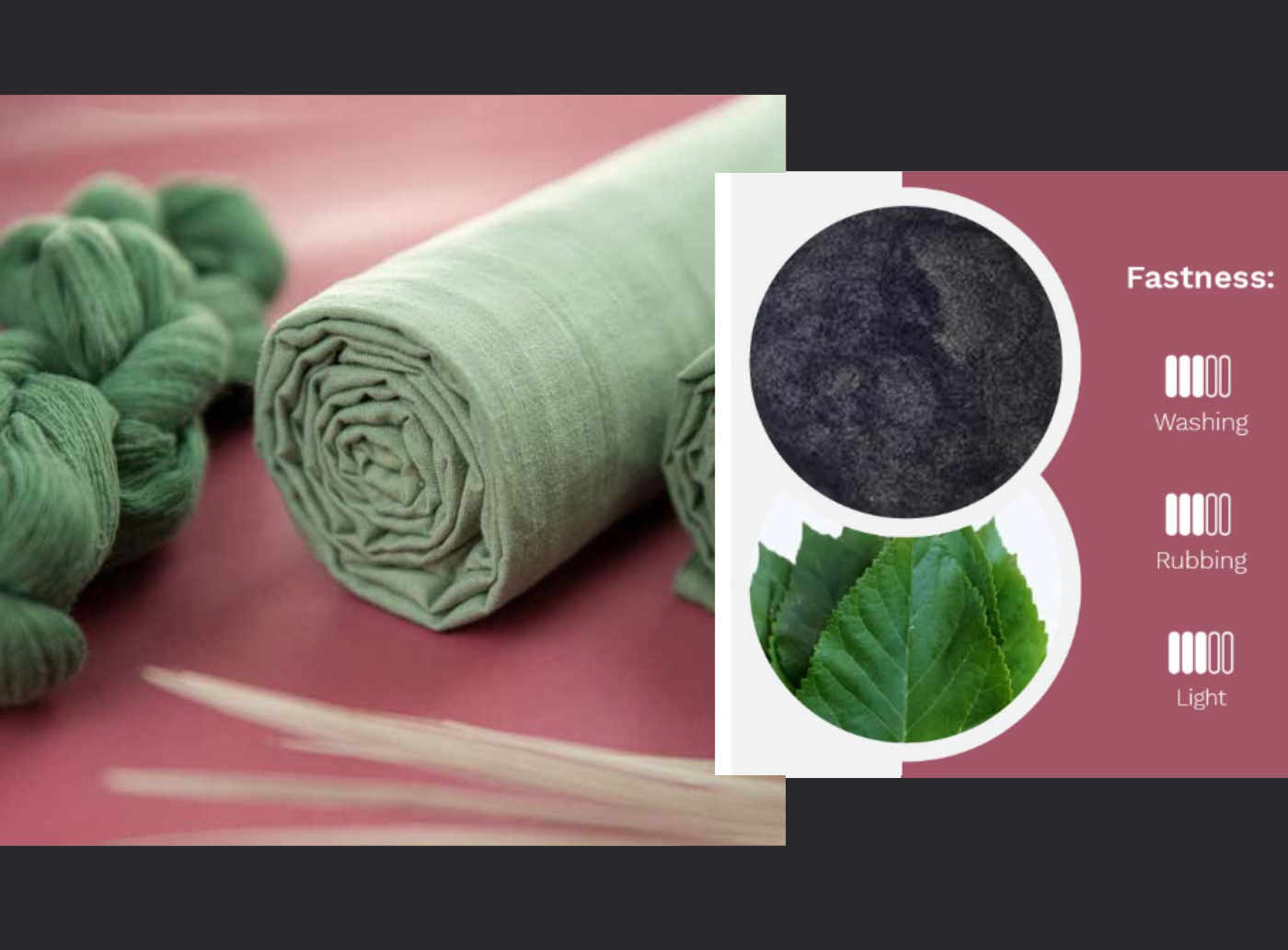 Natural Fabric Dye from Mulberry Plant