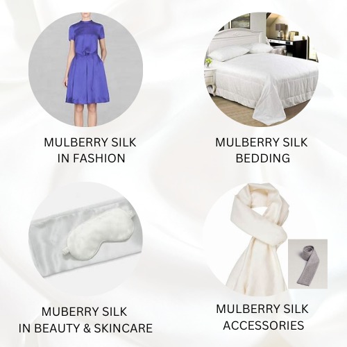 Applications of Mulberry Silk