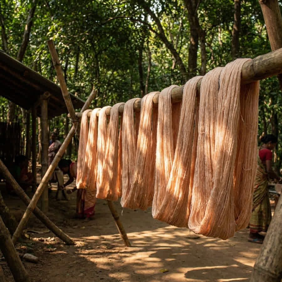 Beyond Ahimsa: Defining Ethical Raw Silk in the Modern Supply Chain — Anuprerna handloom