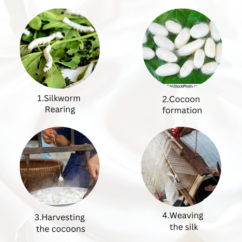 Process for Sericulture