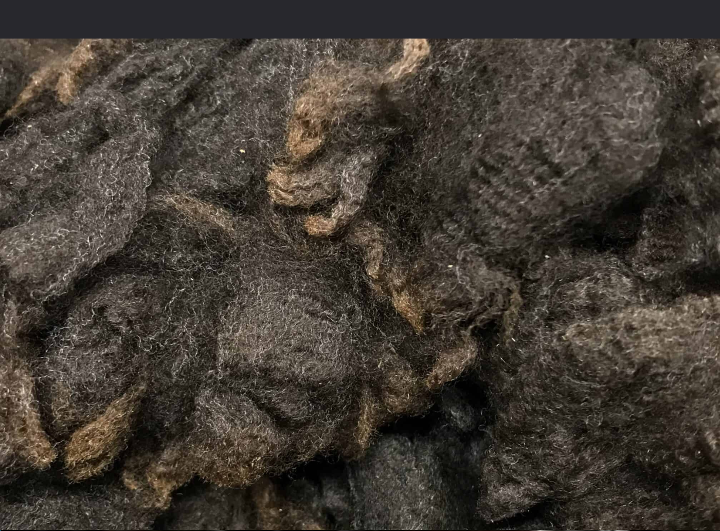 Raw Wool
