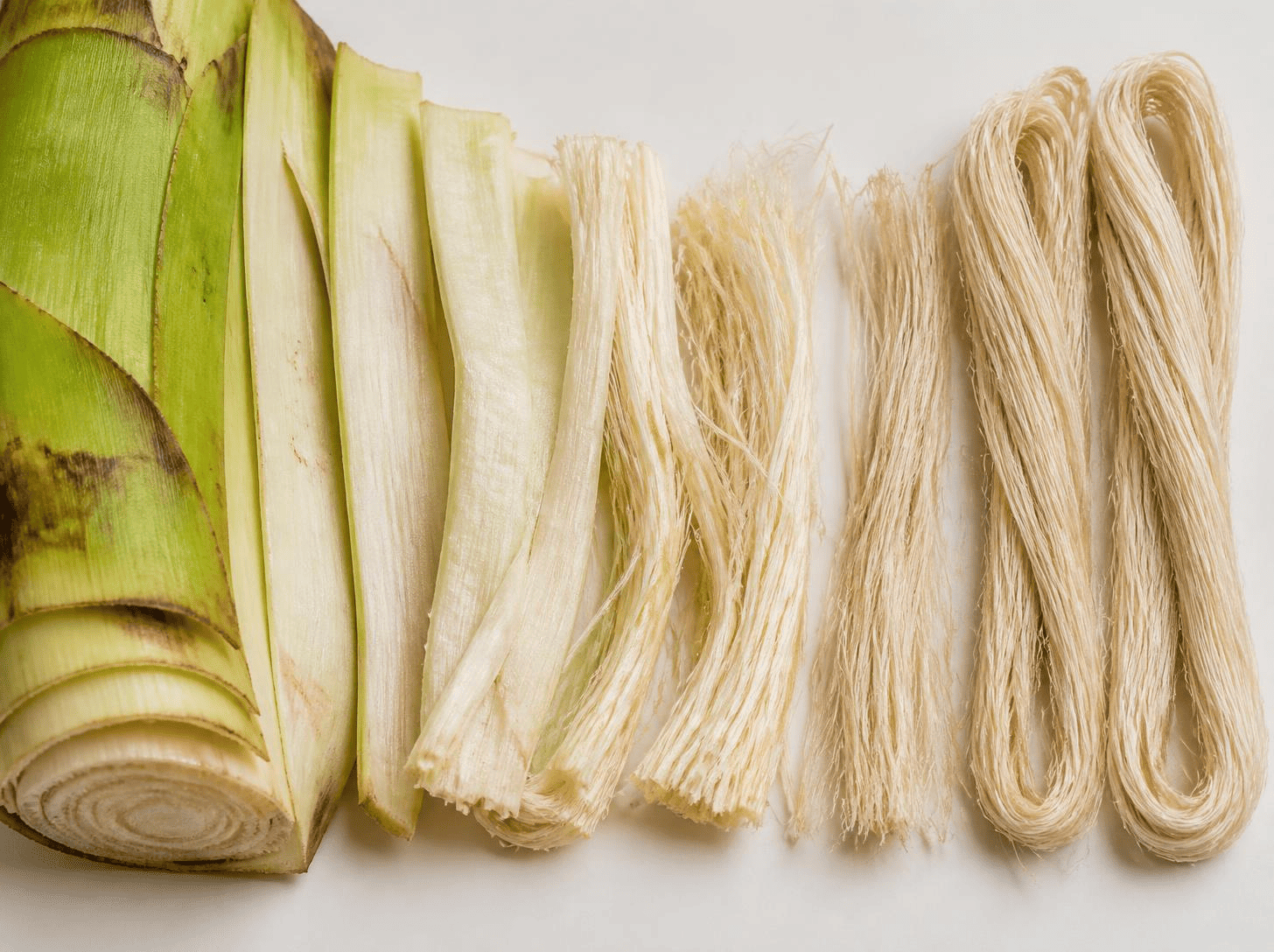 Banana plant pseudostem and extracted banana fiber for textile production 