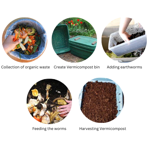 Ways to Utilize Earthworms for Waste Management