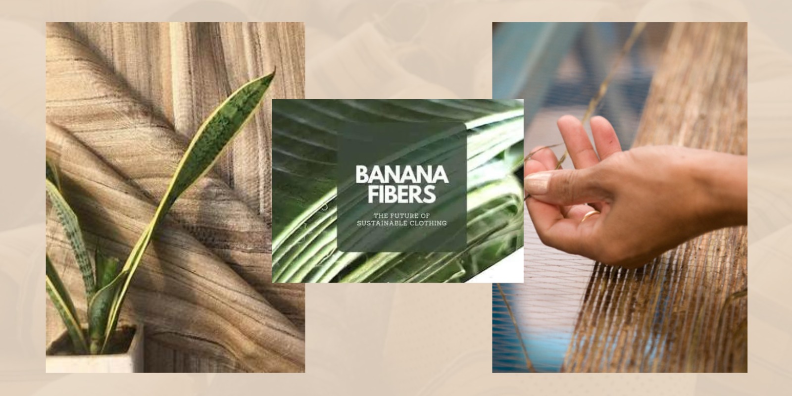 Banana Fiber: From Fruit To Fabric