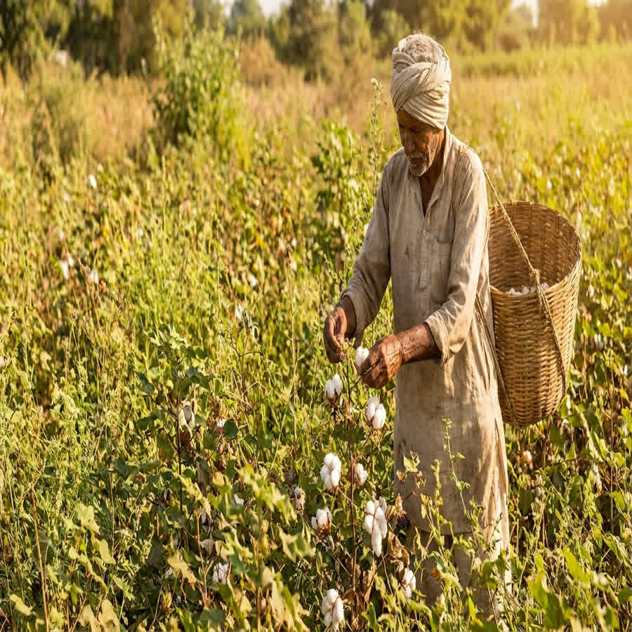 The Evolution of Organic Fabric Suppliers in India — Anuprerna handloom