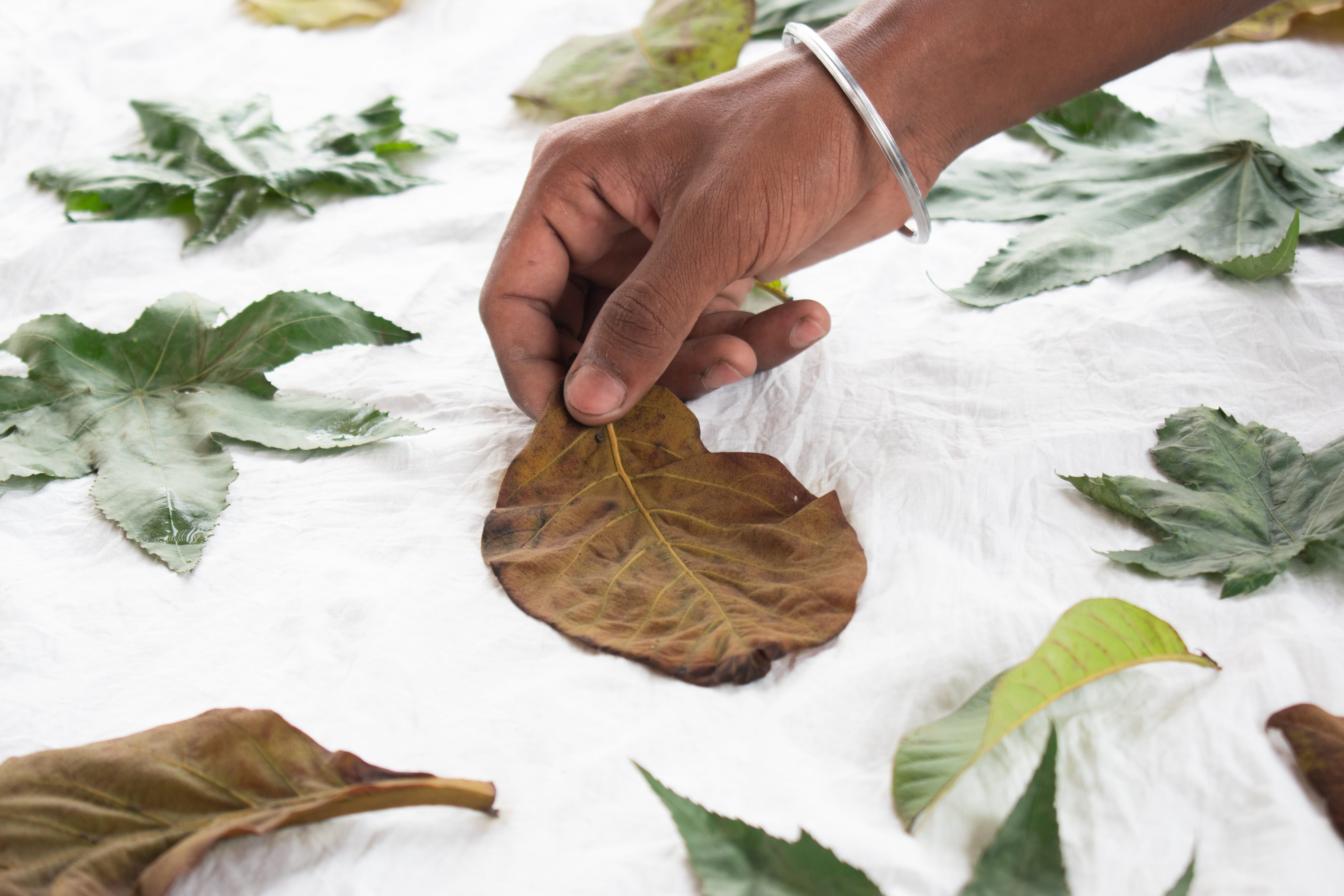 ECO PRINTING