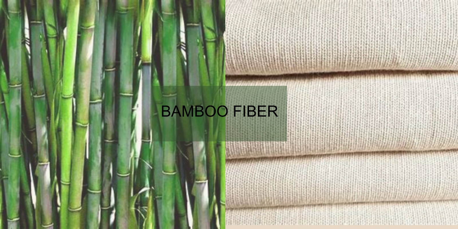 Bamboo Fiber