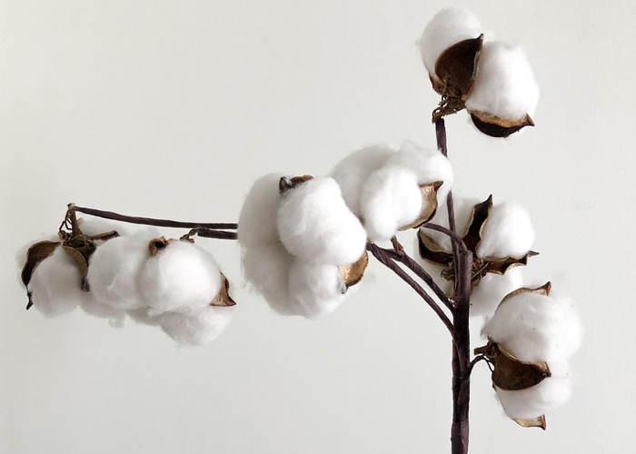 ORGANIC KHADI COTTON