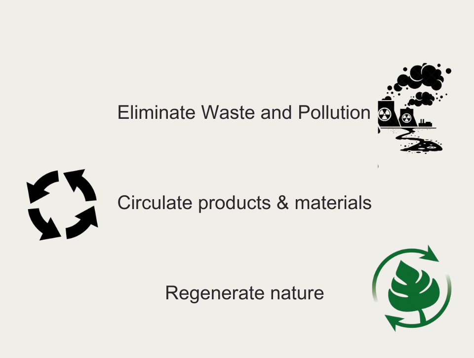 Processes of Circular Economy