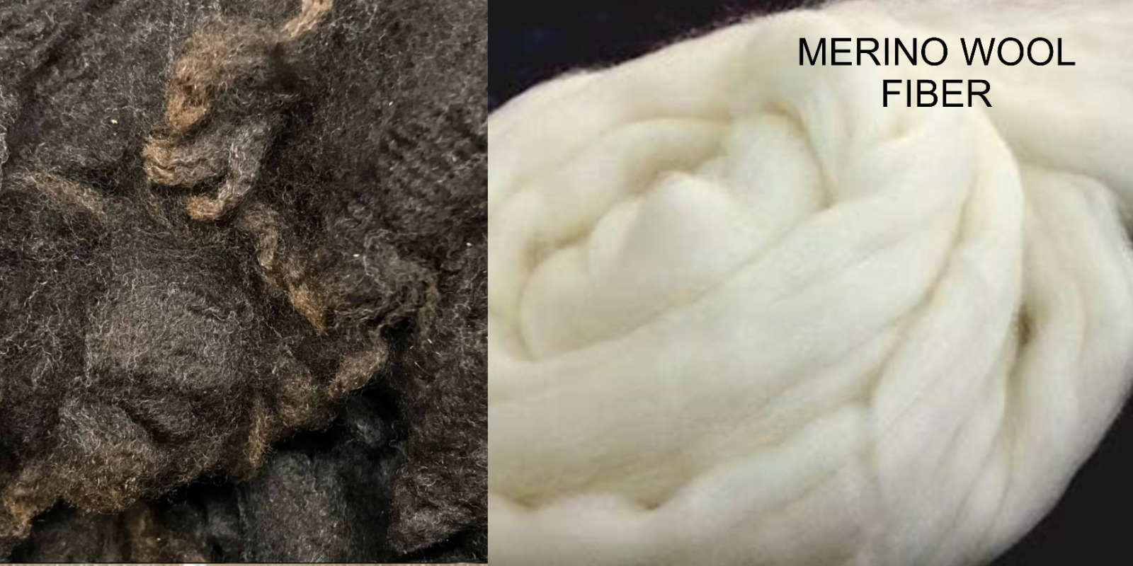Merino Wool Fiber