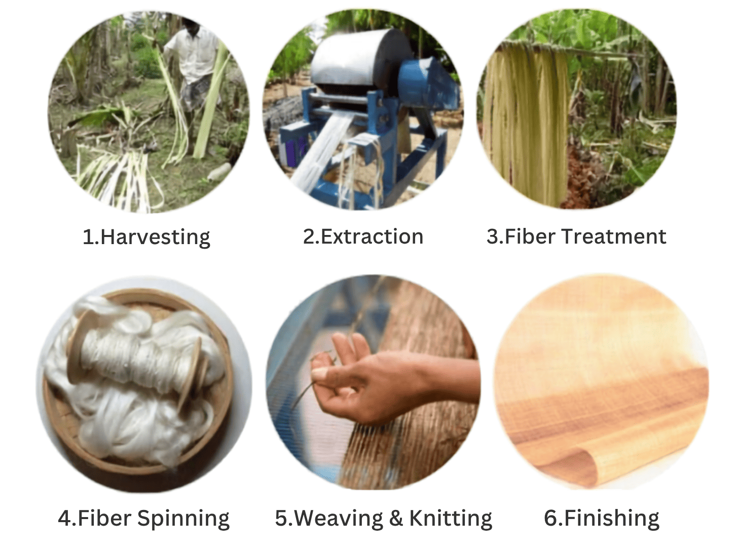 The whole process of Banana Fabric 