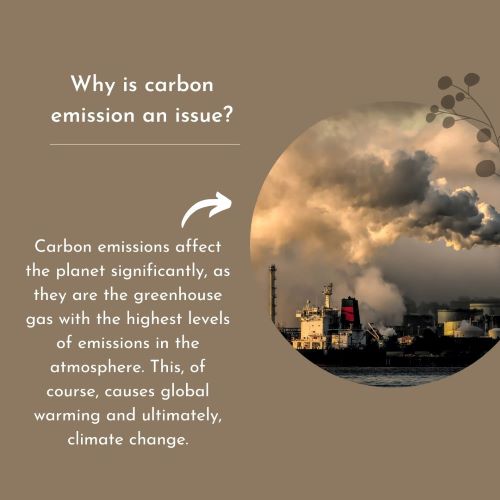 Issue of Carbon Emission