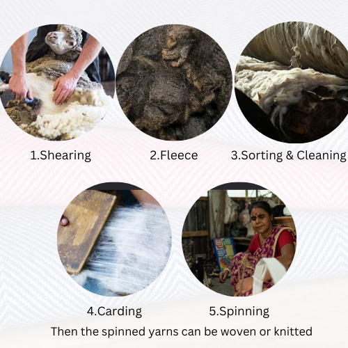 Process of Extraction of Merino Wool