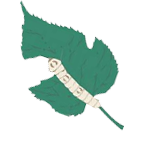 Mulberry Craft 