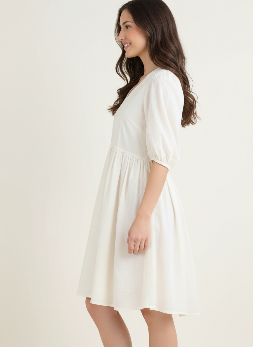 Flared & Pleated Sophisticated Dress