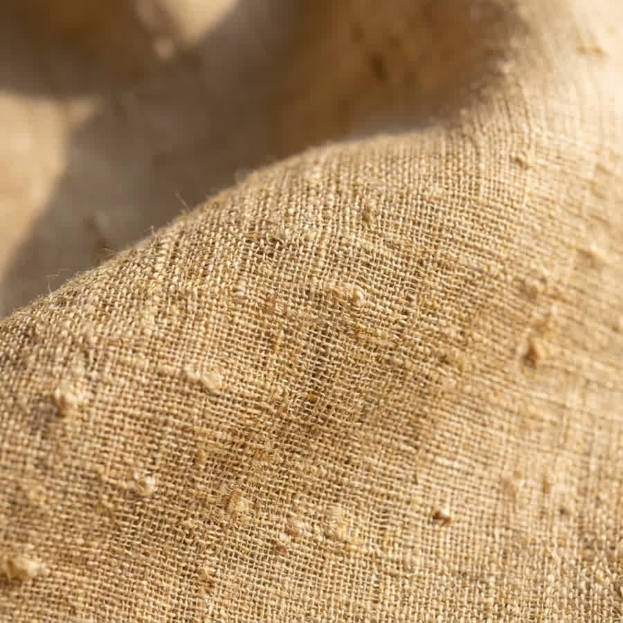 Beyond Mulberry: Decoding India’s Indigenous Silk Varieties — Anuprerna handloom