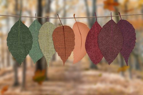 Sourcing Natural Textiles In India