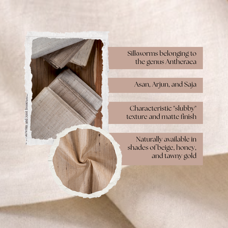 Wild tussar silk cocoons and yarn showing natural texture and golden beige tones