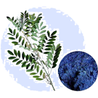 Natural Dye Craft