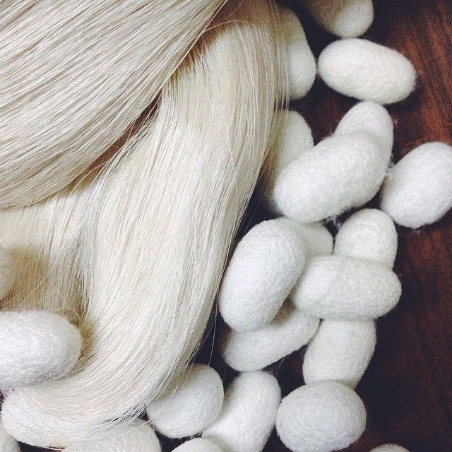 The Evolution of Silk Production: A Journey Towards Sustainability