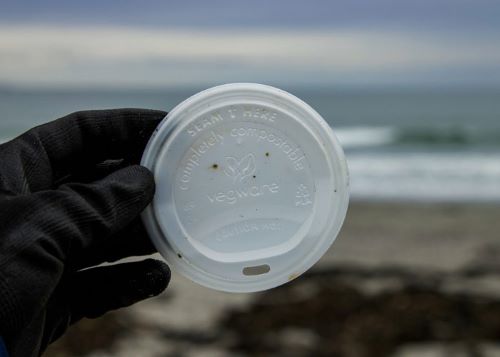 How Greenwashing Is Dangerous To The Environment