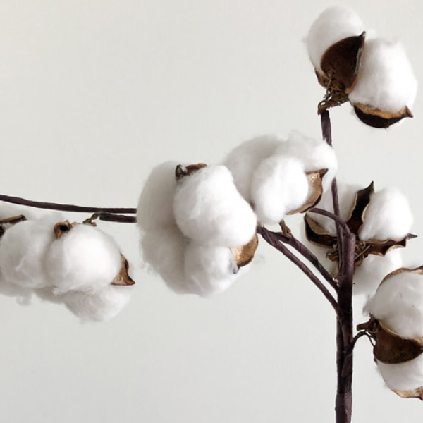 ORGANIC KHADI COTTON